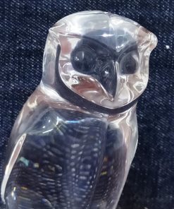 Crystel Clear Resin Owl (6)