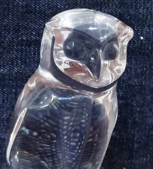 Crystel Clear Resin Owl (6)