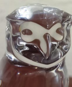 Crystel Clear Resin Owl (6)