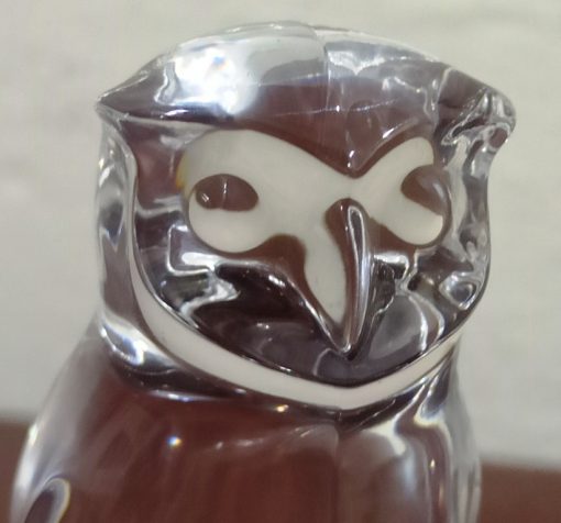 Crystel Clear Resin Owl (6)