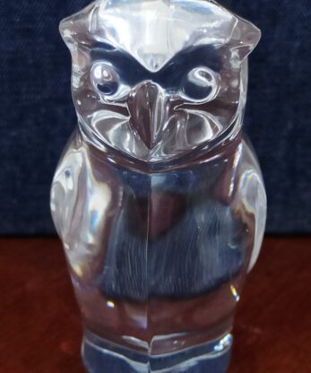 Crystel Clear Resin Owl (6)