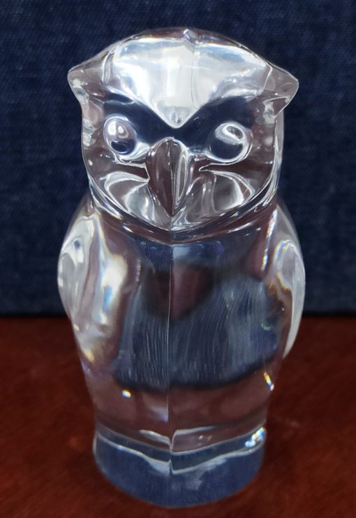 Crystel Clear Resin Owl (6)