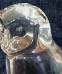 Crystel Clear Resin Owl (6)