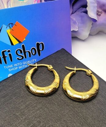 Charming Hoops Earrings for Women and Girls