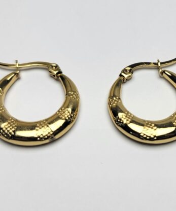 Charming Hoops Earrings for Women and Girls