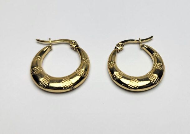 Charming Hoops Earrings for Women and Girls