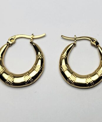 Charming Hoops Earrings for Women and Girls