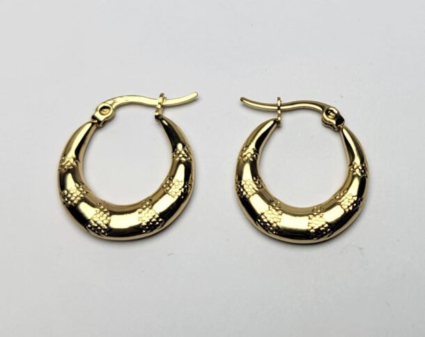 Charming Hoops Earrings for Women and Girls