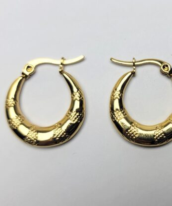 Charming Hoops Earrings for Women and Girls