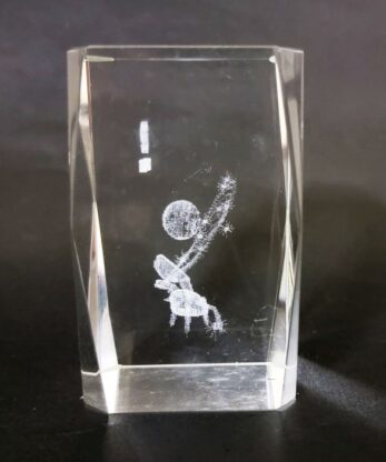 3D laser engraved crystal glass paperweight