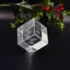 3D Fish Crystal Cube