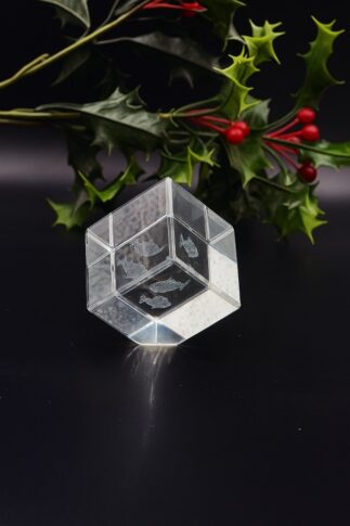 3D Fish Crystal Cube