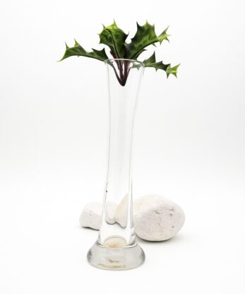 Sleek Crystal Vase – Ideal for Any Room